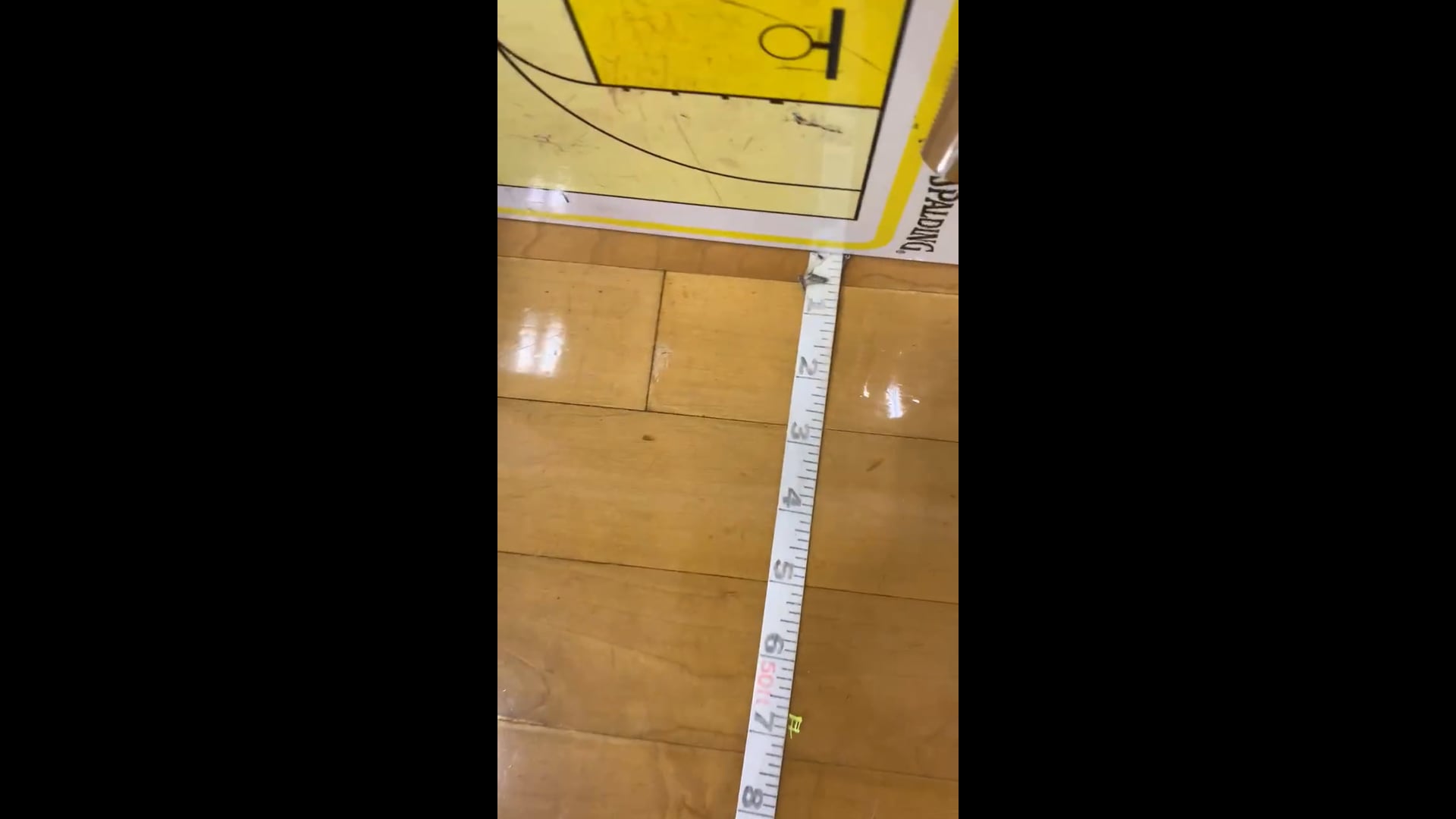 Watch PurpleShift athlete's Height: 61.4 inches