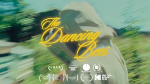 The Dancing Bees - A Visual Poem