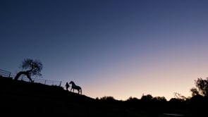 Documentary - Ramon Becerra, Horse Trainer