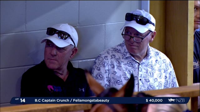 NZB Standardbred 2024 National Yearling Sale - Lots 14 - 22