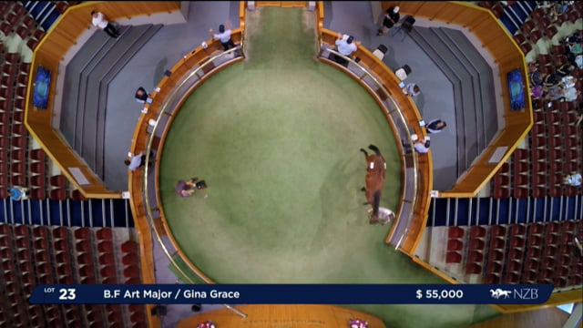 NZB Standardbred 2024 National Yearling Sale - Lots 22 - 28