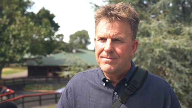 2024 National Yearling Sale - Cran Dalgety