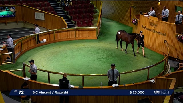 NZB Standardbred 2024 National Yearling Sale - Lots 72 - 80
