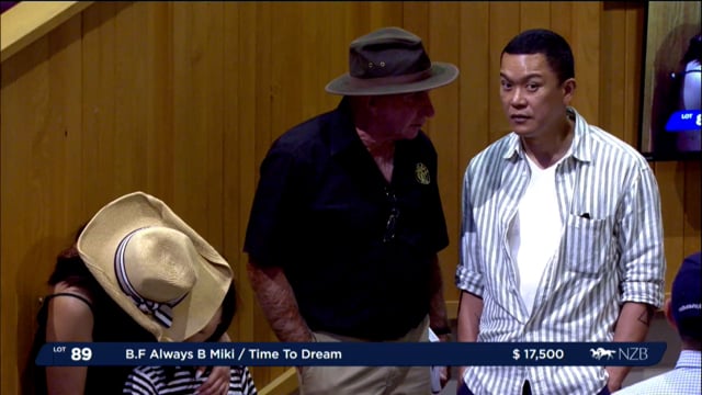 NZB Standardbred 2024 National Yearling Sale - Lots 89 - 97