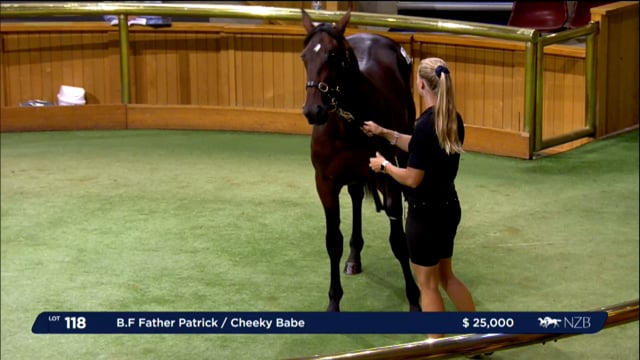NZB Standardbred 2024 National Yearling Sale - Lots 118 - 124