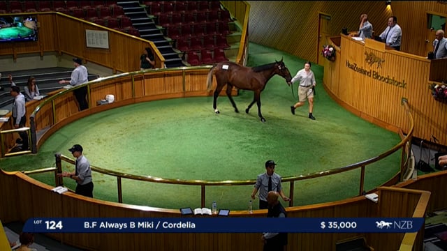 NZB Standardbred 2024 National Yearling Sale - Lots 124 - Review Show Part 1