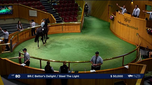 NZB Standardbred 2024 National Yearling Sale - Lots 80 - 89