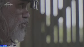 Jungle Pilot