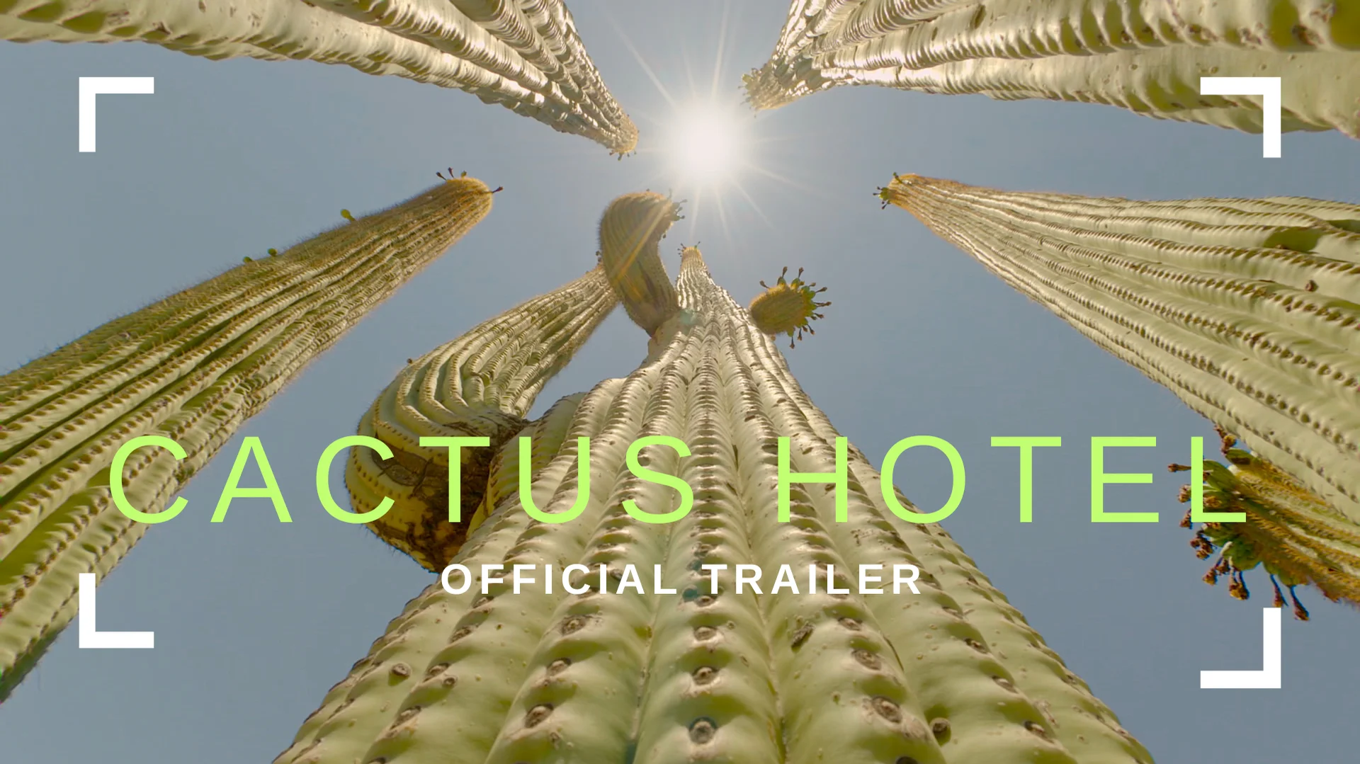 Cactus Hotel  Official Trailer