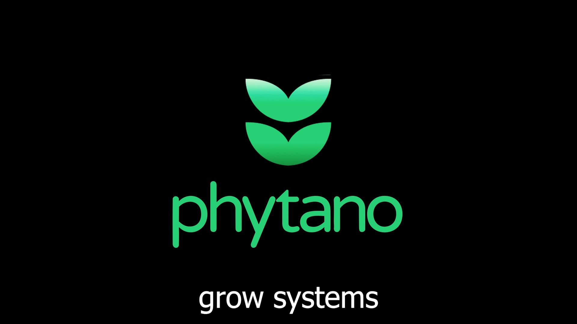 Phytano Product