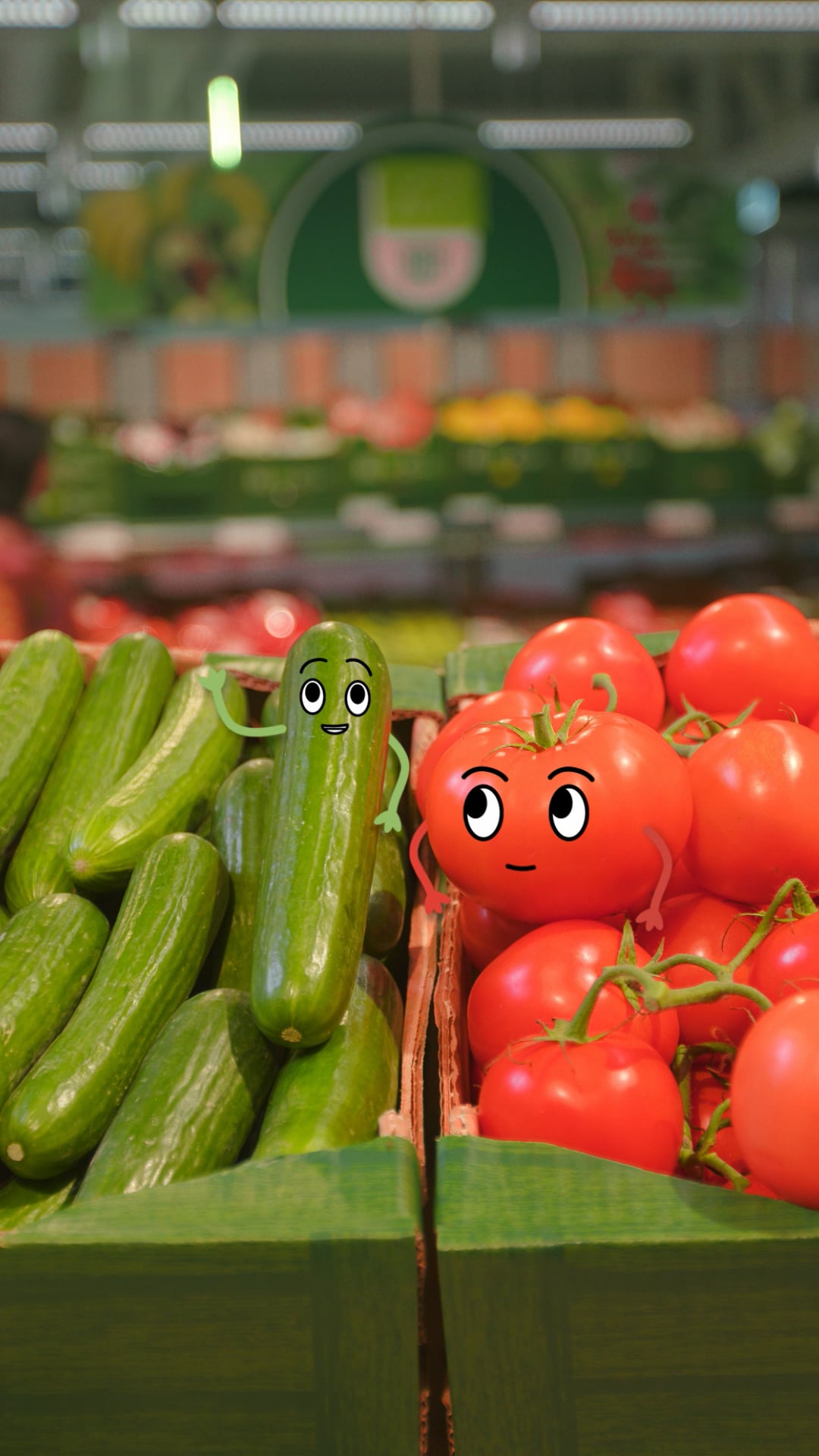 LIDL NTOMATA AGGOURI