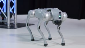 Vorstellung KI / SEO / Prompt Architekt und KI-Roboter-Hund U.R.S.U.L.A.