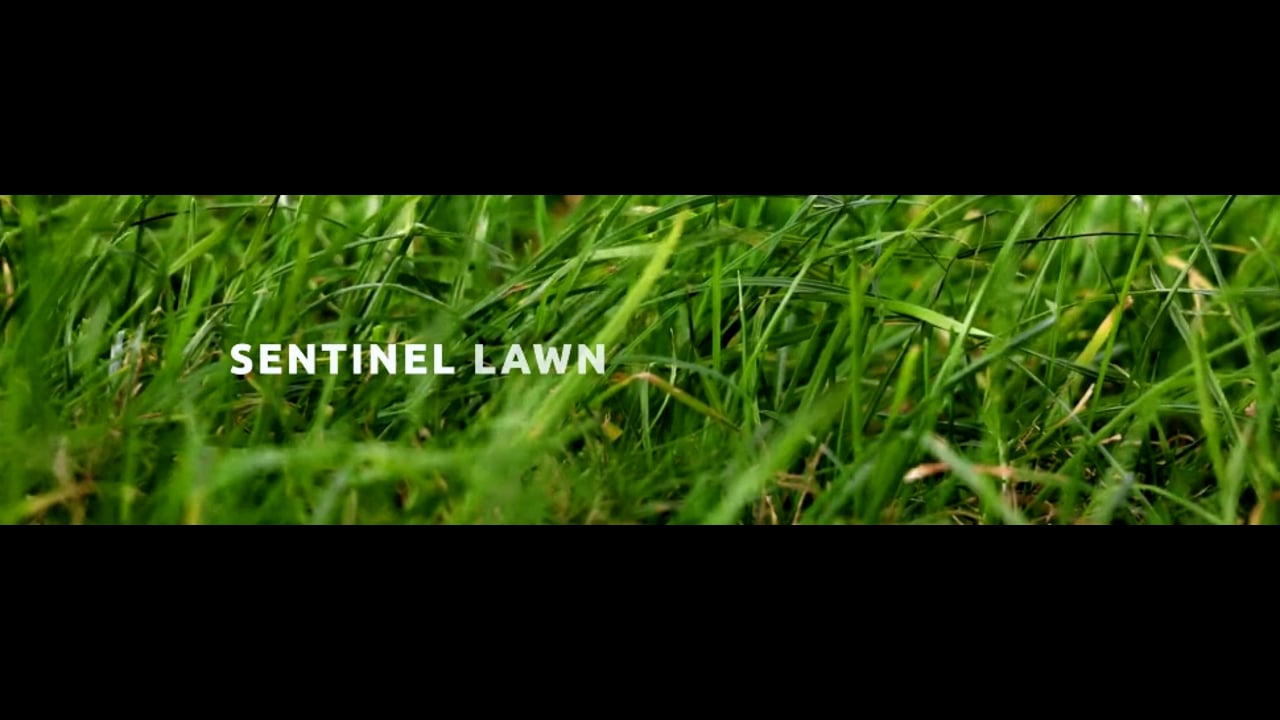 Professional Lawn Service Near Me | Your Lawn Our Watch