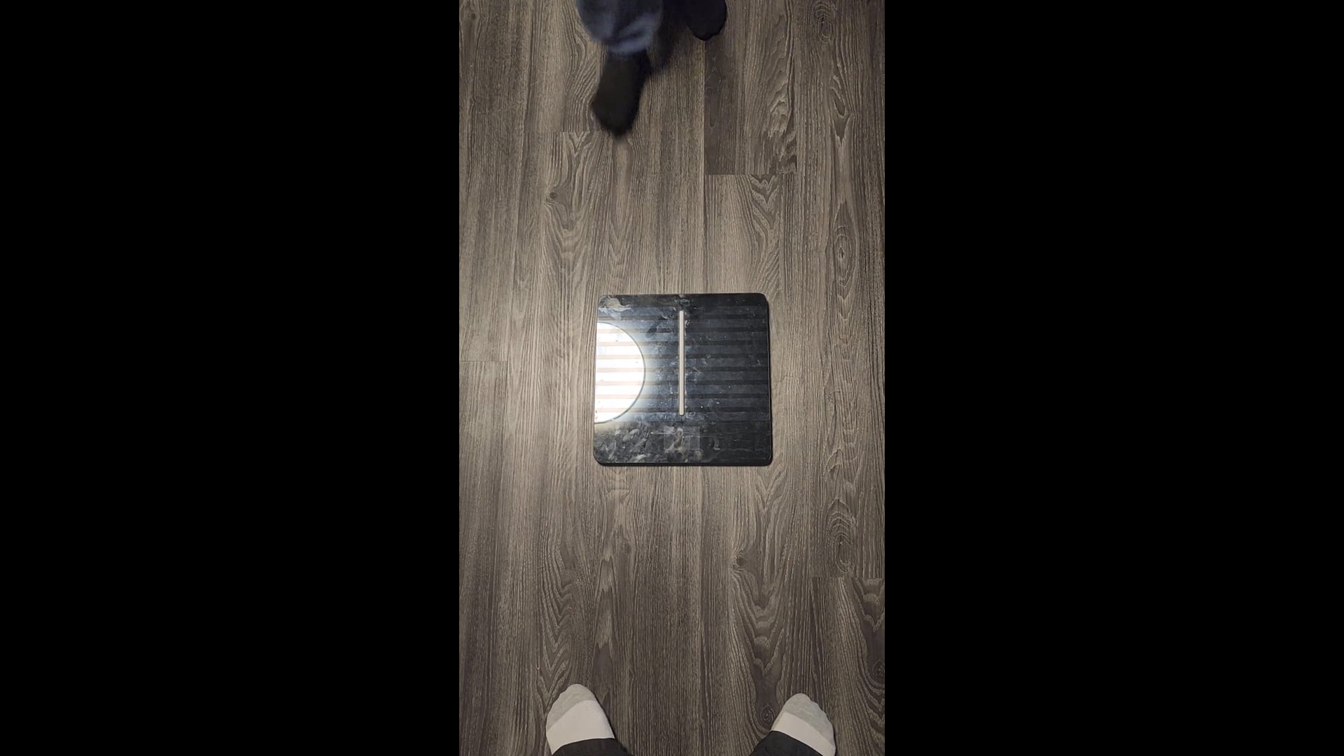 Watch kayden baron's Weight: 137.1 pounds