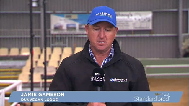 NZB Standardbred 2024 National Yearling Sale - Day 2 - Preview Show Part 2