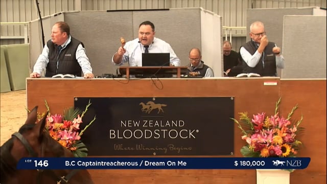 NZB Standardbred 2024 National Yearling Sale - Lots 146 - 154