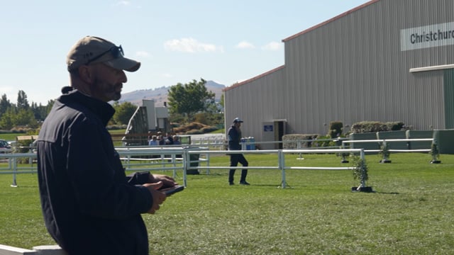 2024 National Yearling Sale | Barry Purdon