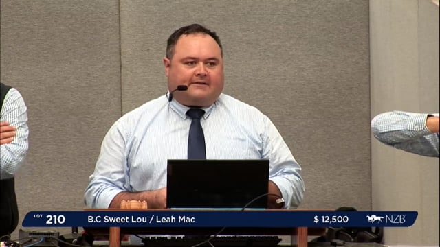 NZB Standardbred 2024 National Yearling Sale - Lots 210 - 218