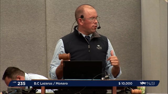 NZB Standardbred 2024 National Yearling Sale - Lots 235 - 243