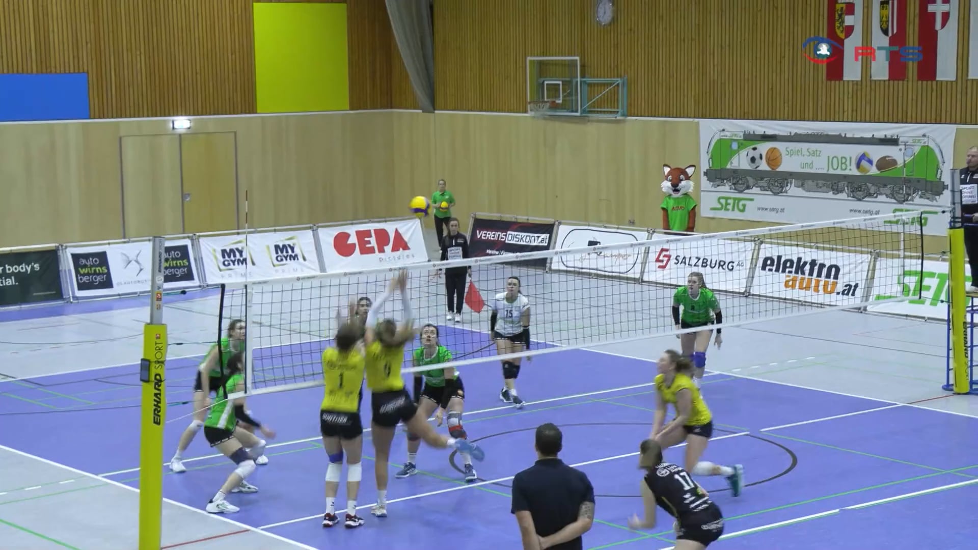 volleyball-damenteam-der-psvbg-salzburg-gegen-steelvolleys-linz-steg