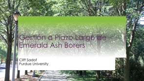 Long term management of EAB/Gestión a largo plazo del Emerald Ash Borer