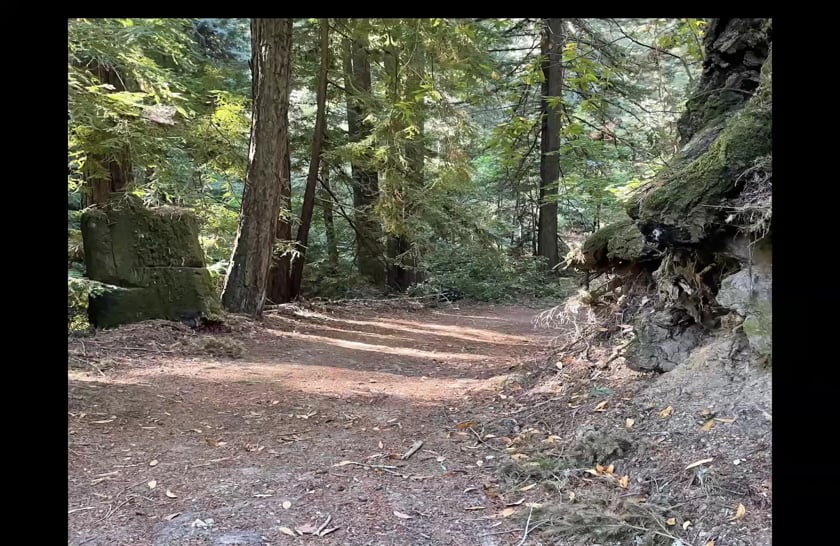 vimeo-video-thumbnail