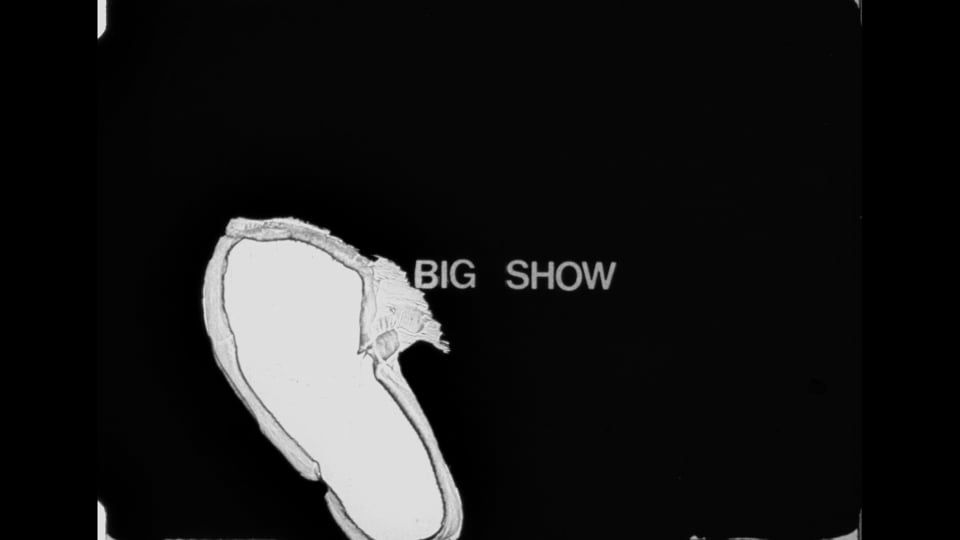 Big Show, The