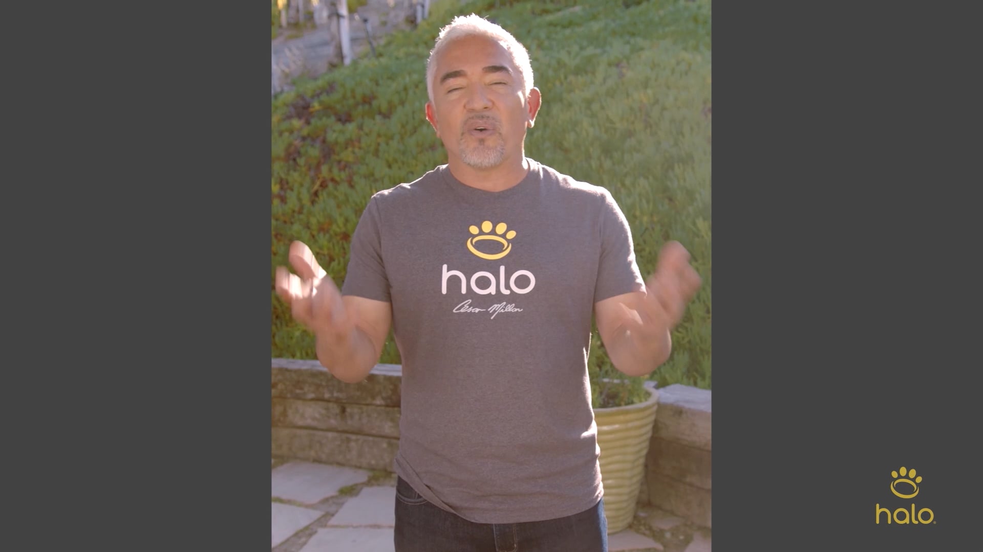 Halo Collar | Welcome Video (clip)