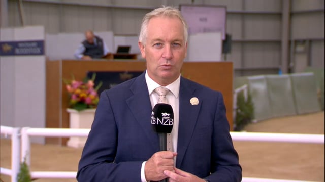 NZB Standardbred 2024 National Yearling Sale - Preview Show Part 3 - Lot 267