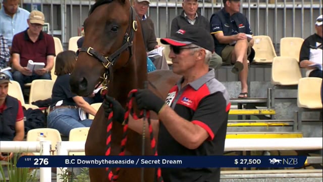 NZB Standardbred 2024 National Yearling Sale - Lots 276 - 283