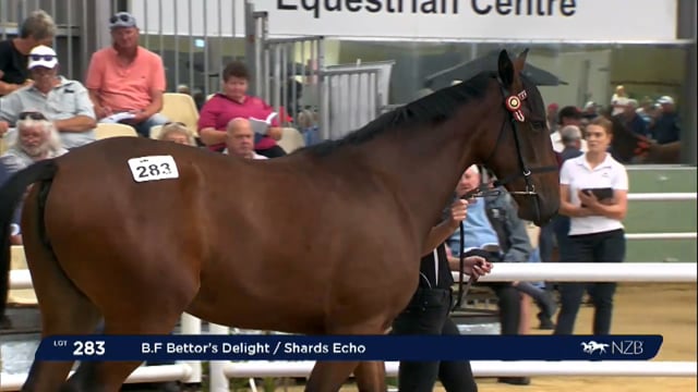 NZB Standardbred 2024 National Yearling Sale - Lots 283 - 292