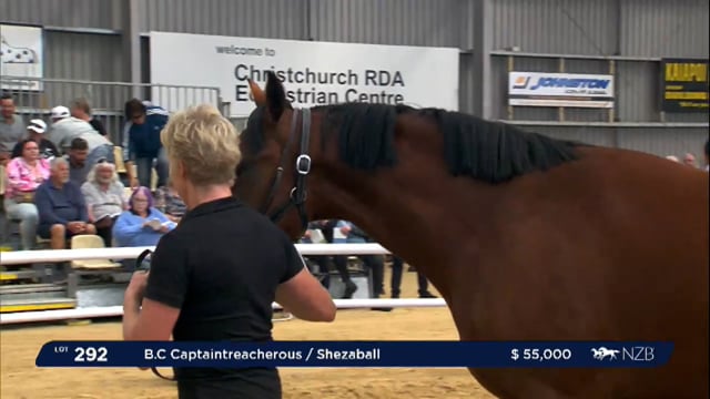 NZB Standardbred 2024 National Yearling Sale - Lots 292 - 301