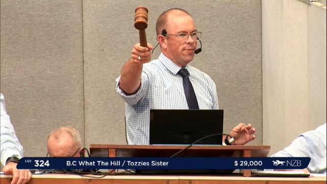 NZB Standardbred 2024 National Yearling Sale - Lots 324 - 332