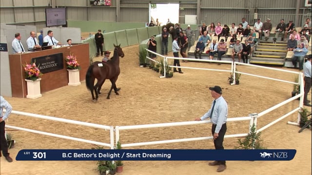 2024 National Yearling Sale - Record Top Lot, Lot 301 $340,000