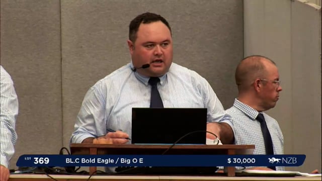 NZB Standardbred 2024 National Yearling Sale - Lots 369 - 377