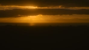 social header