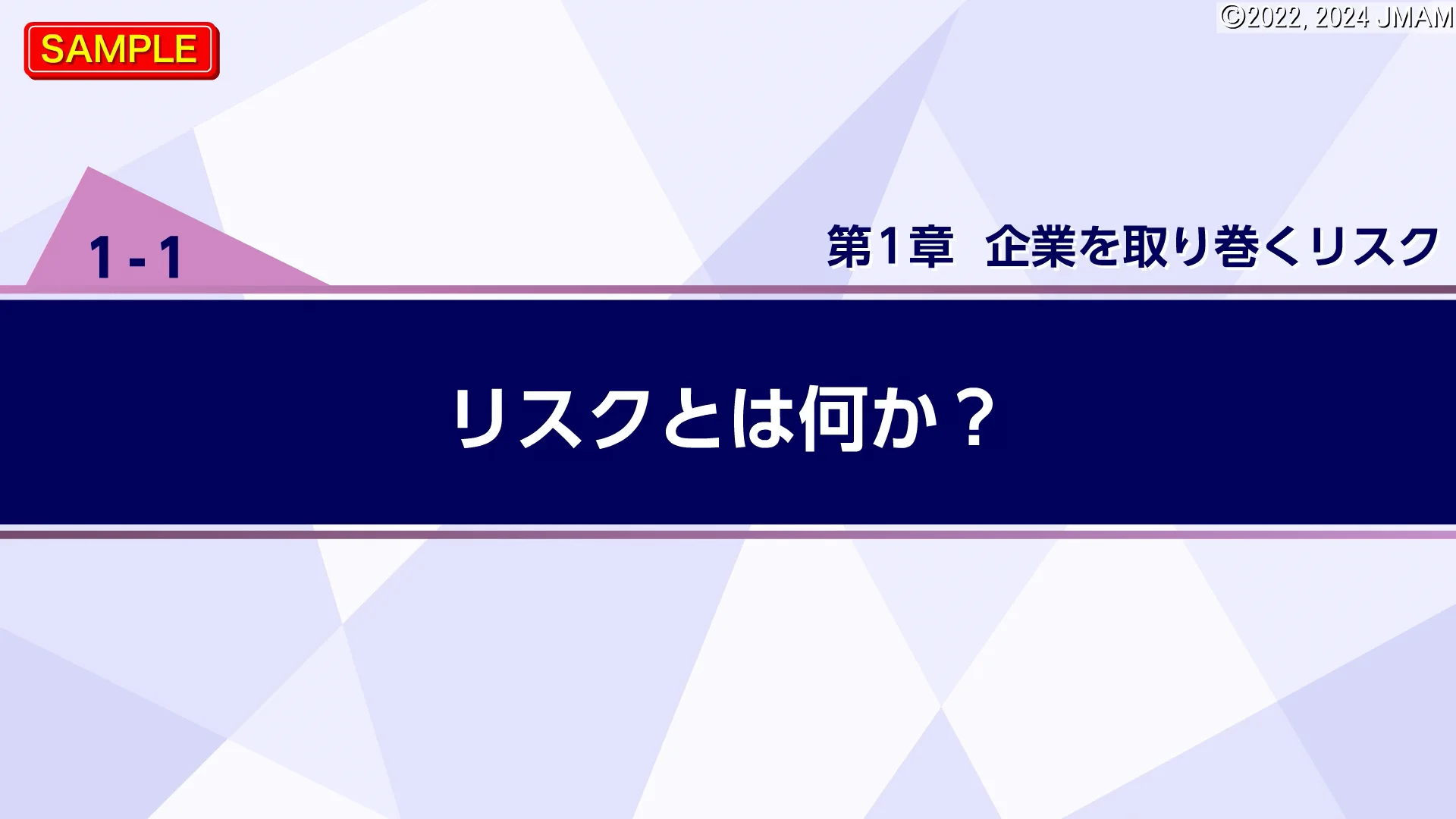 新リスクマネジメントシリーズ​ リスクマネジメント基本コース