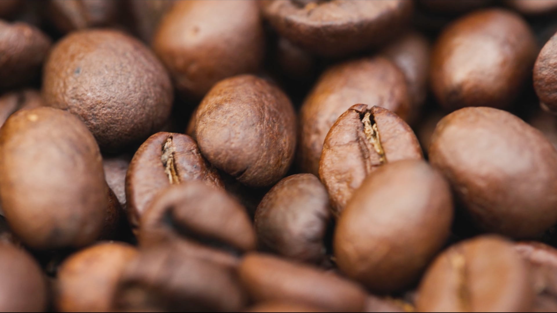 Das Café in der Gartenakademie
