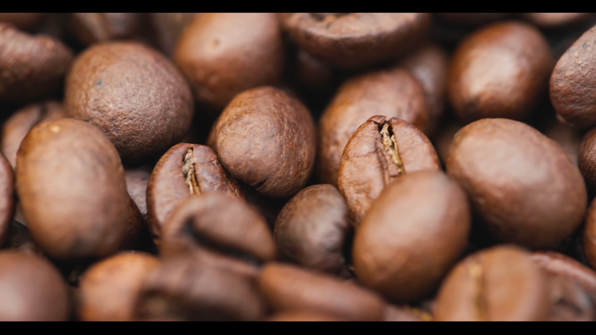Das Café in der Gartenakademie