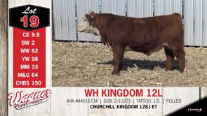 Lot #19 - WH KINGDOM 12L