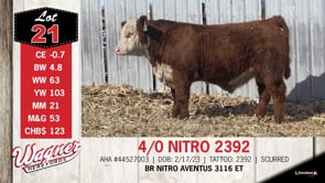 Lot #21 - 4/0 NITRO 2392