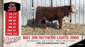 Lot #20 - MAV 396 NOTHERN LIGHTS 3960