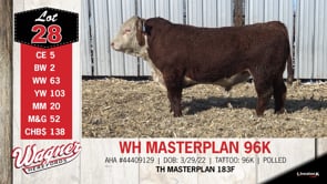 Lot #28 - WH MASTERPLAN 96K
