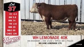 Lot #37 - WH LEMONADE 40K