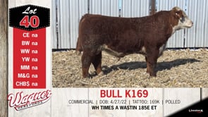 Lot #40 - BULL K169