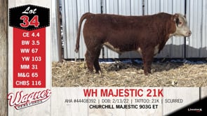 Lot #34 - WH MAJESTIC 21K