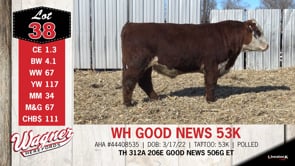 Lot #38 - WH GOOD NEWS 53K