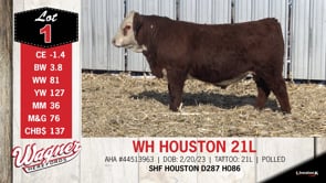 Lot #1 - WH HOUSTON 21L