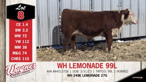 Lot #8 - WH LEMONADE 99L