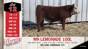 Lot #12 - WH LEMONADE 100L